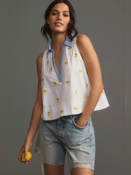 Maeve Tops - Maeve Sleeveless swing popover top striped collar embroidered